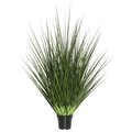 Grandoldgarden X205 Everyday Grass On Pot - 24 in. GR2675586